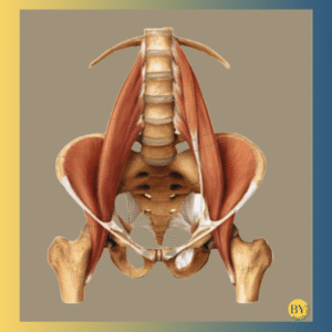 psoas portada
