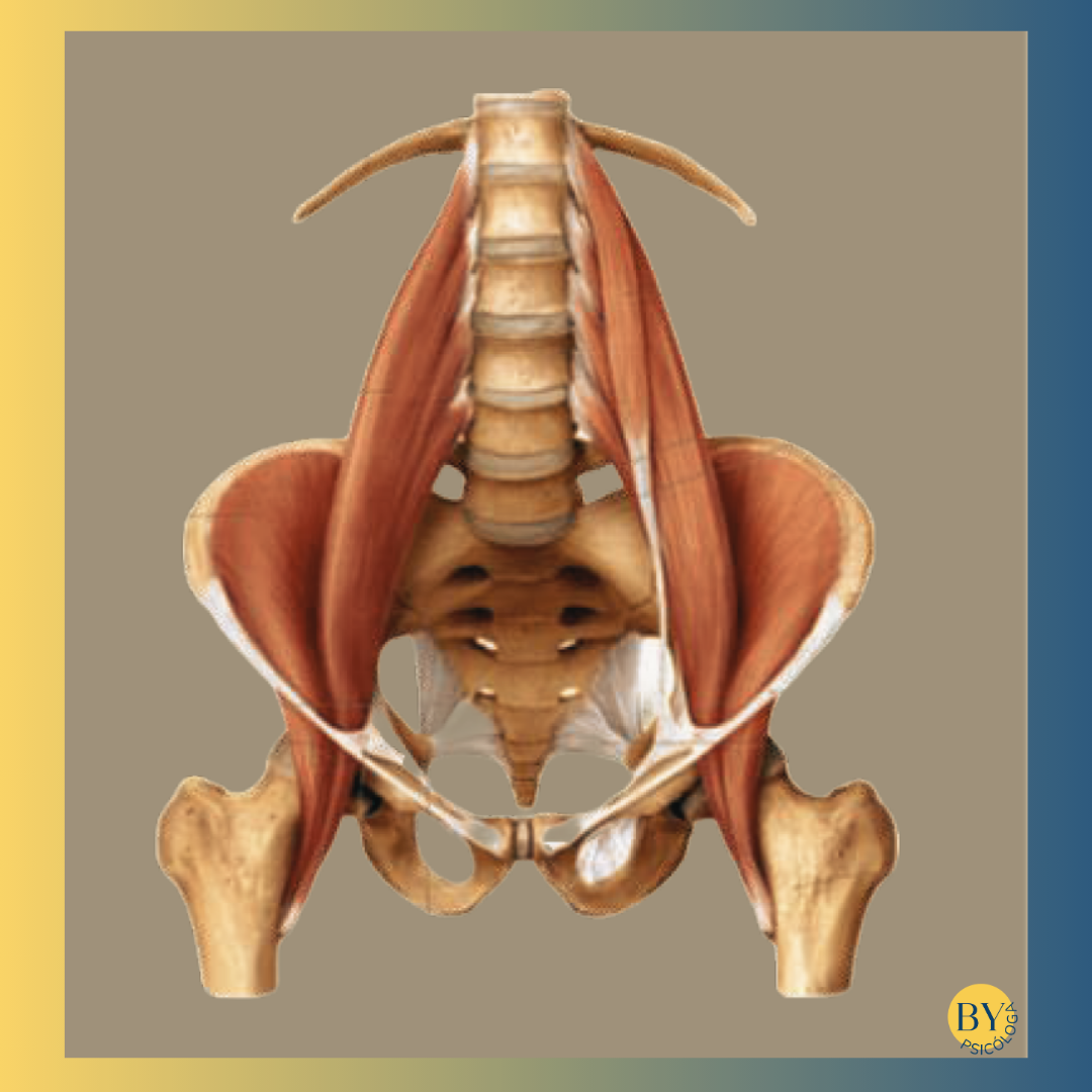psoas portada